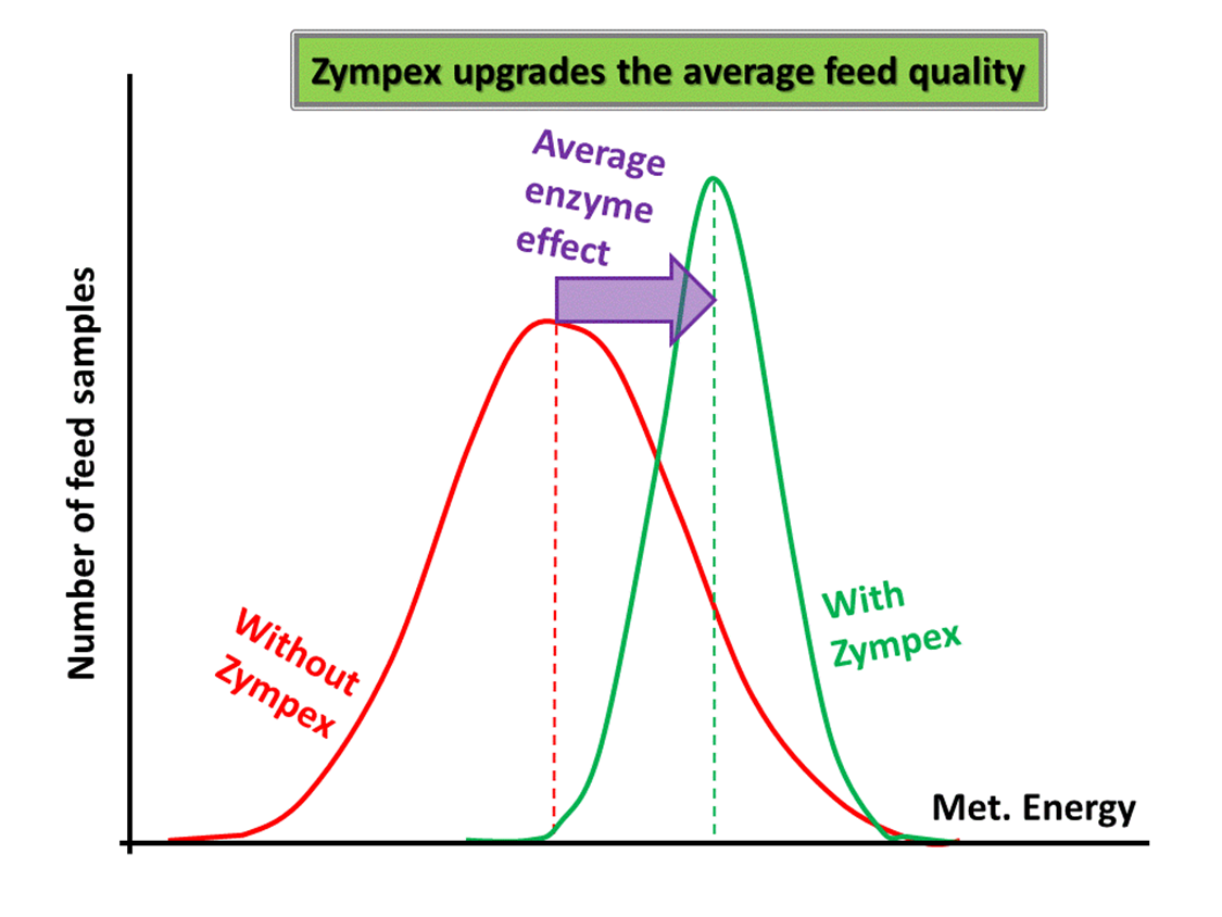 Graph Zympex