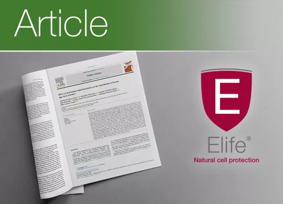 Poultry Science 2026 09 - Elife