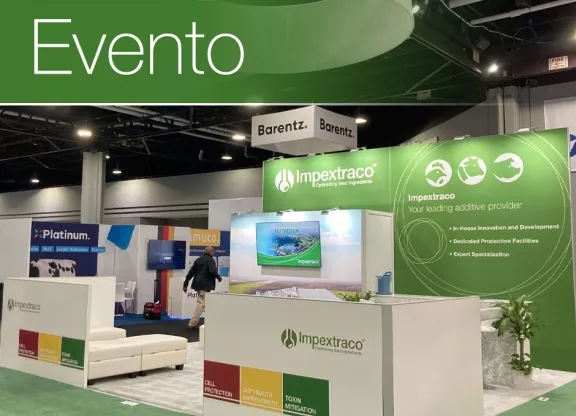 Ippe 2025