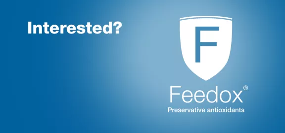 Feedox CTA