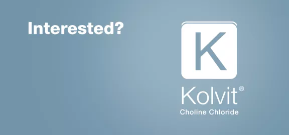 Kolvit CTA