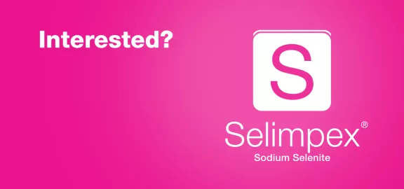 Selimpex CTA
