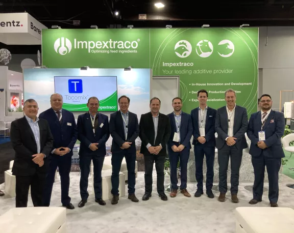 ippe 25 - 2
