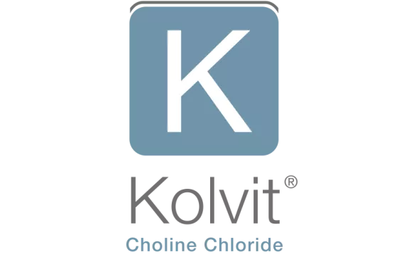 Kolvit Logo