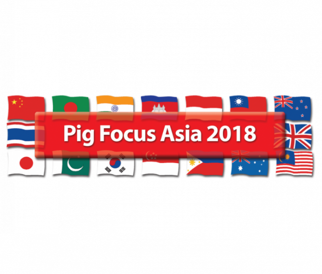 Pig_Focus_Asia